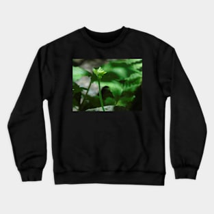 Spring Rebirth Crewneck Sweatshirt